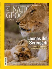 National Geographic España #333: Leones del Serengeti una lucha diaria por  la supervivencia