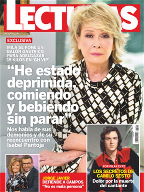 Cover 3521