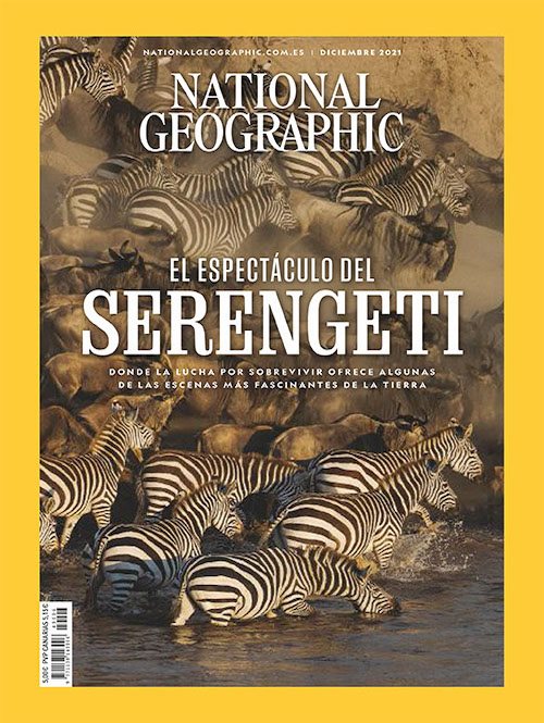 El espectáculo de Serengeti