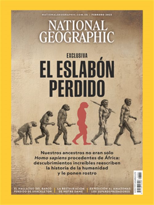 El eslabón perdido