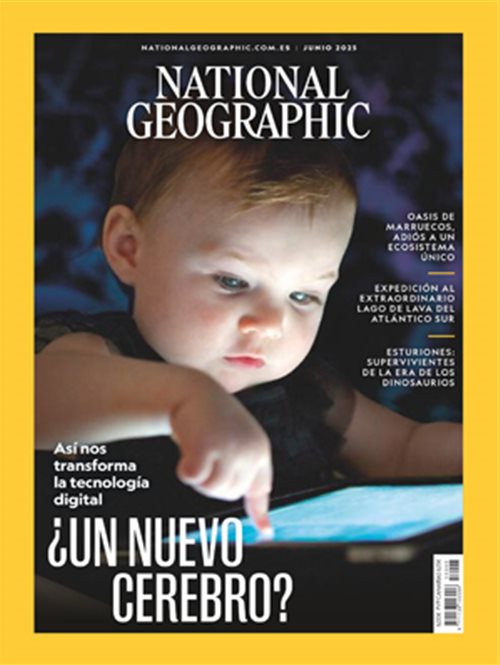¿Un nuevo cerebro?