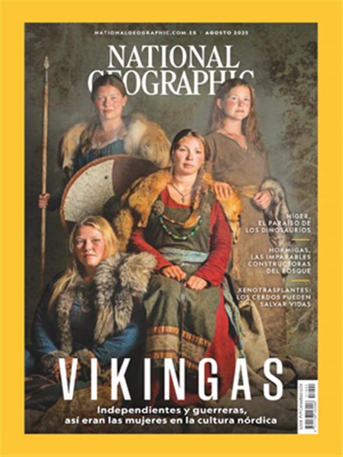 Vikingas